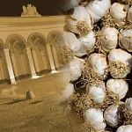Nocleg ze śniadaniem Barone Sieri Pepoli